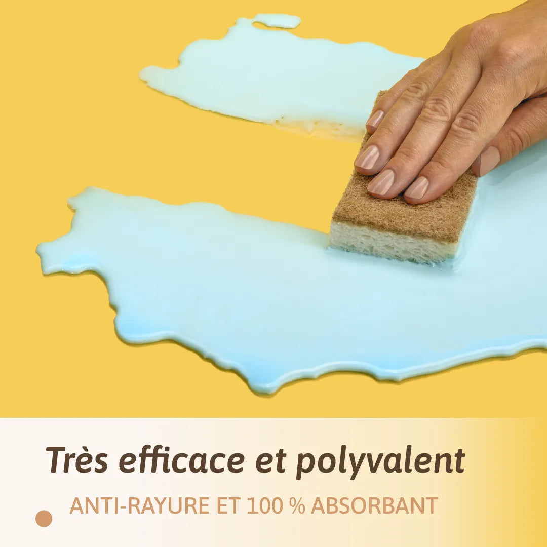 Pack d'éponges écologiques
