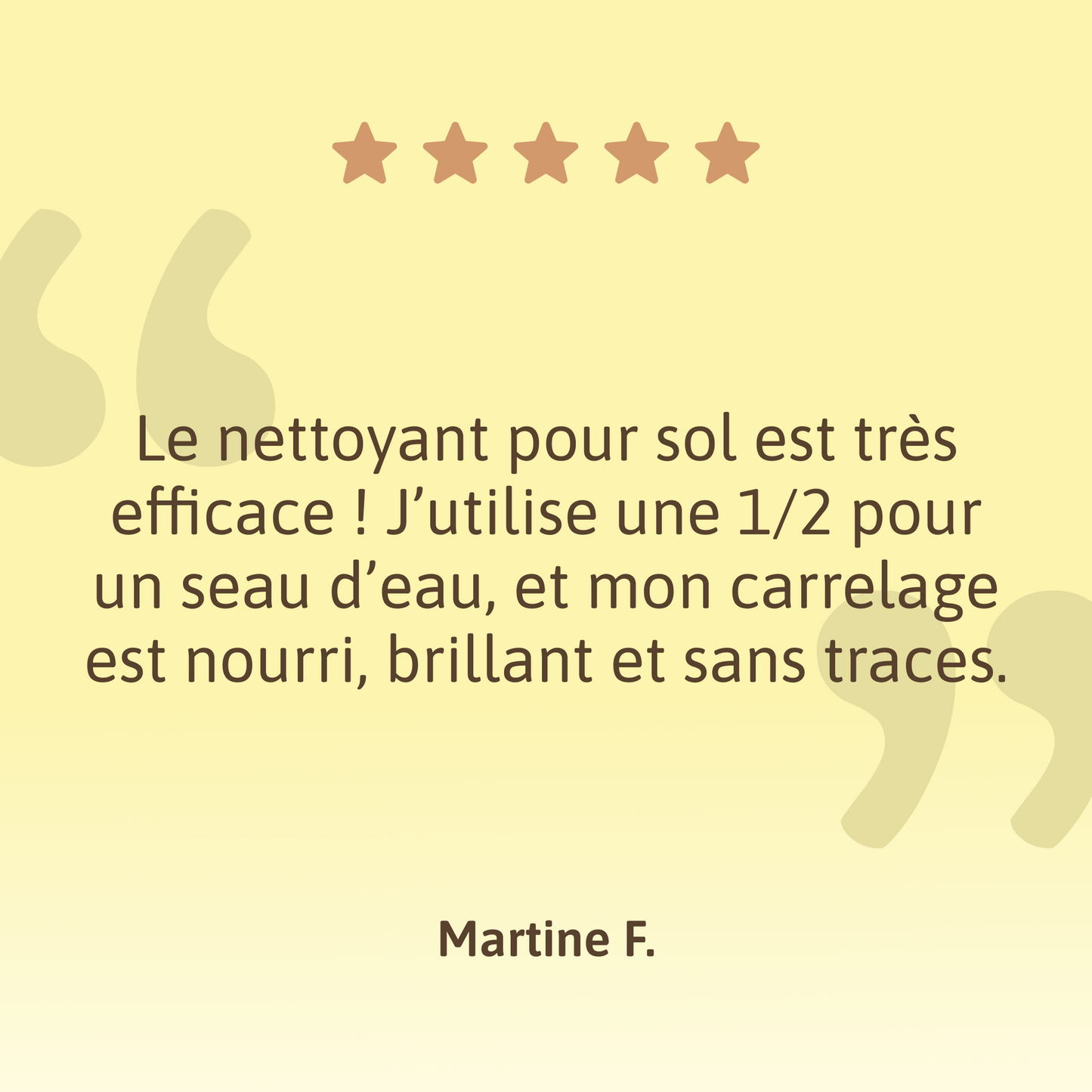 Nettoyant Sols en Feuilles - 30 Doses - Natulim FR