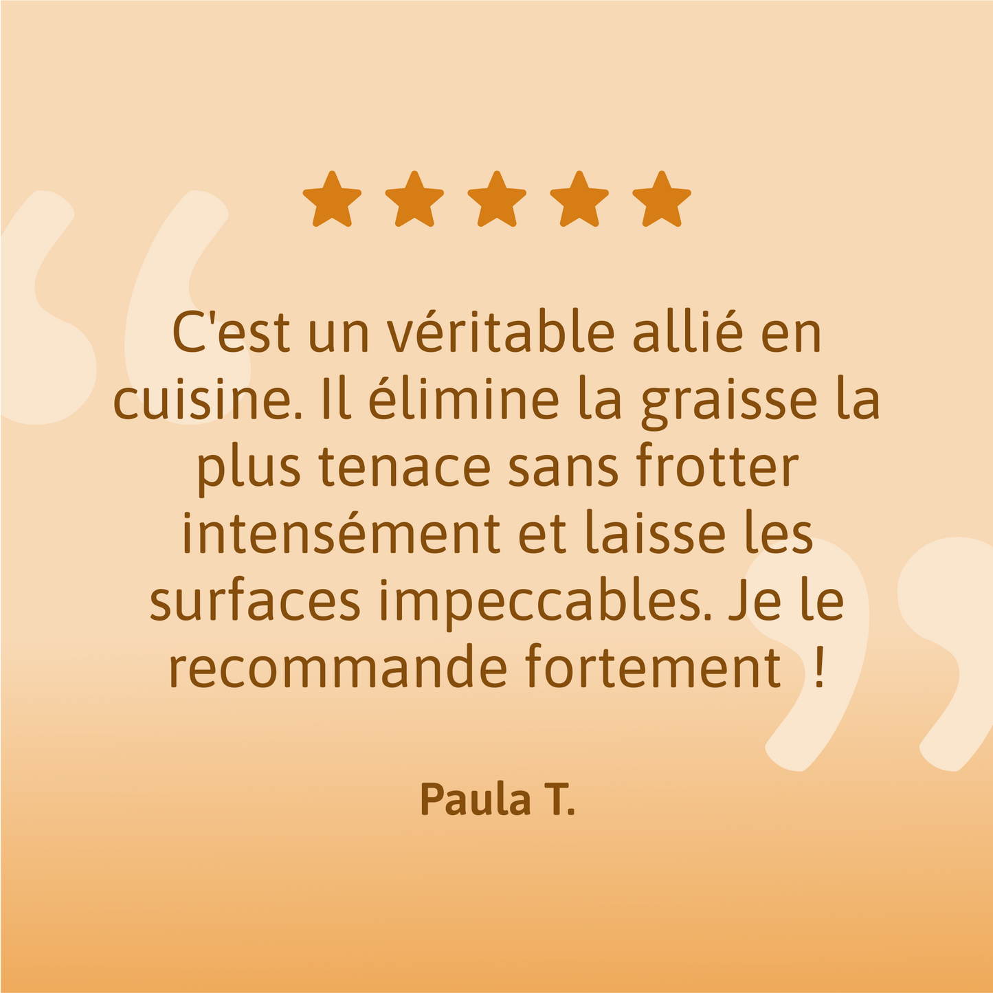 Sachets Recharges Dégraissant - Natulim FR