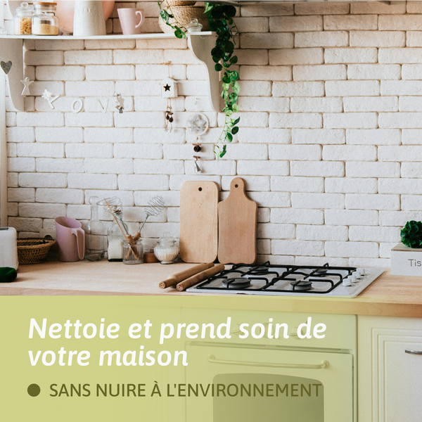 Acide Citrique - Nettoyant multi-usage - Natulim FR
