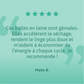 Balles de séchage en laine